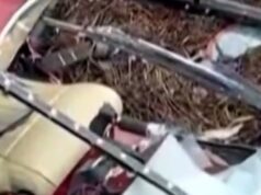 Os helicópteros colidiram no ar e deixaram o aeroporto juntos