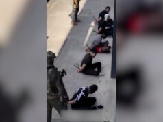 Polícia de Sydney detém homens por possível ‘ato violento’ | Feed de notícias