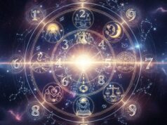 Veja o que está reservado para você