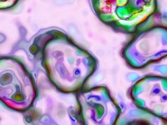 Casos de sarampo atingem nível mais alto em 30 anos