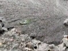 Comunidades montanhosas da Califórnia atingidas por deslizamentos de terra