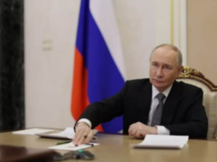 Putin sinaliza abertura ao diálogo após receber propostas de paz de Trump para a Ucrânia | Notícias do mundo