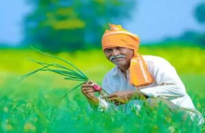 PM Kisan 22ª data de parcela: PM Modi libera Rs 18.640 milhões para agricultores de mais de 9,32 milhões | Notícias de Economia