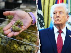 Os republicanos da Câmara instaram Trump contra a reclassificação da maconha como uma droga menos perigosa