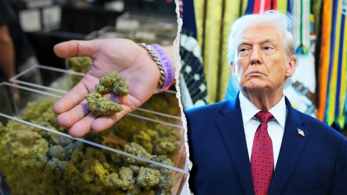 trump-marijuana-letter.jpg