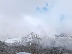 Meu segredo para conseguir um corpo gostoso aos 62 anos: ALISON CORK revela a rotina simples de quatro vezes por semana que a ajudou a perder cinco quilos, acelerou seu metabolismo e deixou sua pele mais fresca do que nunca