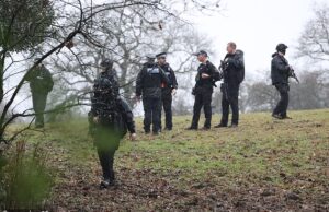 Policiais fortemente armados invadem fazenda depois que cães matam 23 ovelhas… e o cão ainda está solto