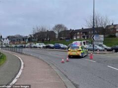 Dois homens albaneses acusados de um pedestre de 80 anos morto quando foi atropelado por um carro e carregado por um quilômetro