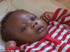 Como é que TRÊS bebés podem ser abandonados na cidade mais vigiada do mundo? Polícia deve interromper busca por pais enquanto trilha esfria