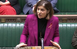 Os planos para reduzir o julgamento com júri farão com que os casos já em atraso sejam desviados para novos ‘tribunais rápidos’, confirma o ministro