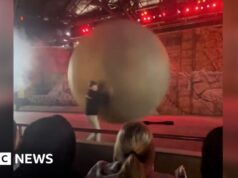 Momento em que o adereço fugitivo de 400 libras fere funcionário da Disney