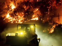 Corrigir as nossas leis florestais melhorará a resiliência ao fogo