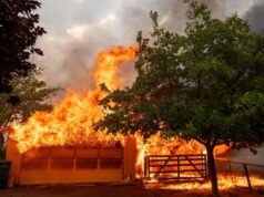 Corrija nosso registro de camuflagem florestal como segurança contra incêndio