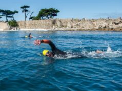 O nadador que desapareceu em Lovers Point usava repelente de tubarão. O que a ciência diz sobre o que eles fazem – e o que não fazem – The Mercury News