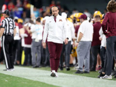 As 5 principais necessidades de portal de transferência para os Esquilos