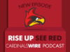Probabilidades dos Cardinals no Super Bowl e situação do QB analisada após a vitória dos Seahawks