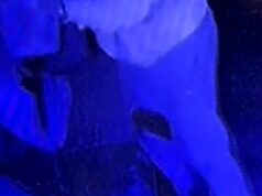 O vídeo mostra a suposta sinagoga despejando líquido incendiário