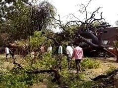 Tempestade mortal mata vários em UP; Casas danificadas, árvores arrancadas