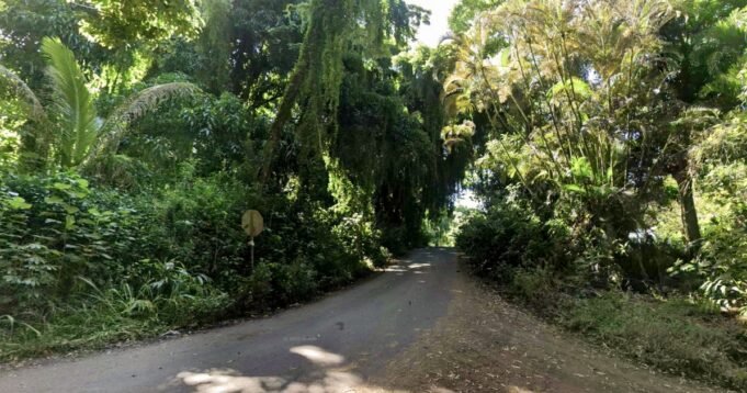 1780103689_260528-Pahoa-hawaii-ww-1650-5d0833.jpg