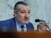 Ted Cruz derruba influenciador do MAGA que defende o acordo de Trump com o Irã: “Shhh, garoto!”