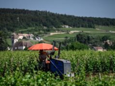 A onda de calor quente de maio veio para ficar. E o Norte da Europa está completamente despreparado