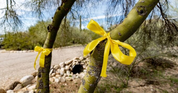 260214-nancy-guthrie-memorial-ribbons-ww-1814-91f8ed.jpg