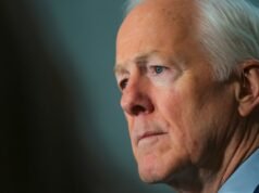 Depois de décadas como um homem leal ao partido no segundo turno do Partido Republicano no Texas, John Cornyn foi destruído por deturpações do passado de Trump.