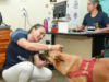 Atendimento veterinário gratuito em Campo Grande: onde encontrar