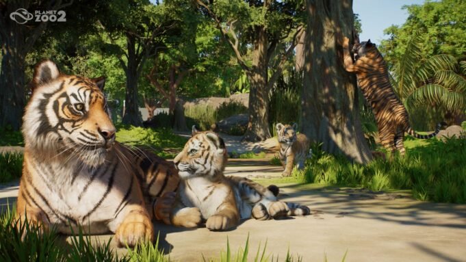 5-pz2-announce-shot02-sumatran-tiger-beauty-3840x2160-watermark-1779970461208.jpg