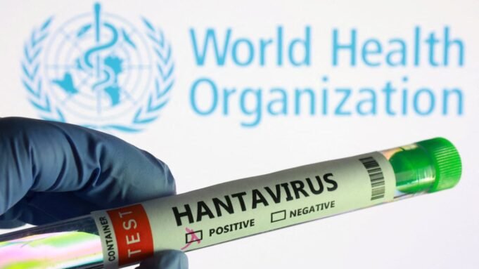 69fda08a7667f-ilustrasi-hantavirus_gemini_1265_711.jpg