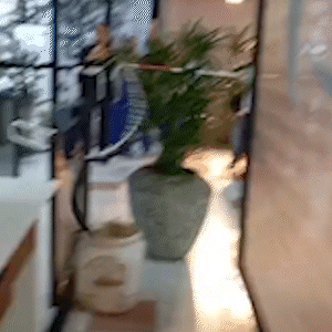 6a0b245cc901e.gif