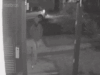 Duo invadiu casa e roubou R$ 30 mil em Campo Grande