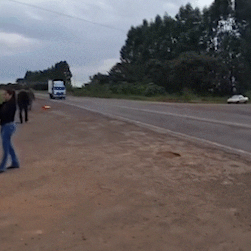 6a11d131444ea.gif