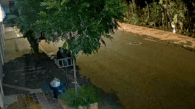 6a12045c0461d.gif