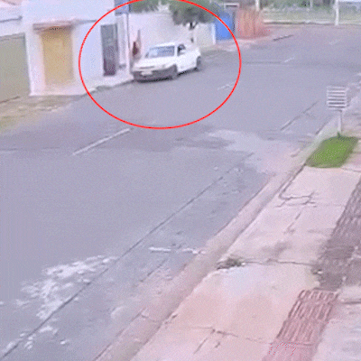 6a19889f08109.gif