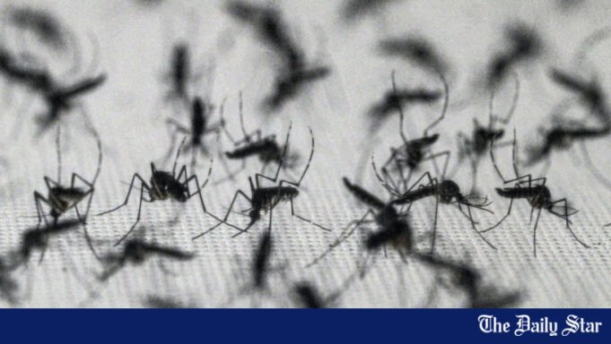 AFP__20260512__A6367K2__v1__MidRes__BrazilClimateMosquitoesHealth.jpg