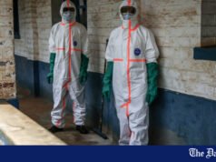 Diretor-Geral da Organização Mundial da Saúde: O número de casos suspeitos de Ebola na República Democrática do Congo atingiu 900