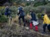 Surto mortal de hantavírus desencadeia abate de roedores na Argentina