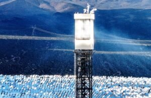 Usina solar Ivanpah mata milhares de pássaros impunemente