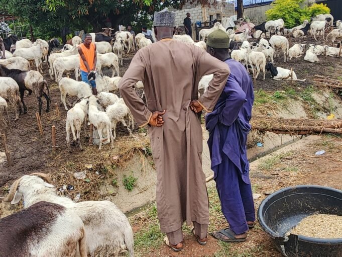 Men-at-the-flock-of-ram-at-the-Kubwa-Sallah-market-by-Federal-Housing-junction-beside-Zenith-House-along-Dutse-Road-Abuja-1779725375.jpg