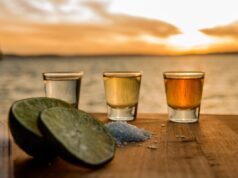 A diferença entre tequila, mezcal e polca