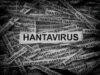Argentina lançará missão de investigação sobre hantavírus em Ushuaia, ETHealthworld