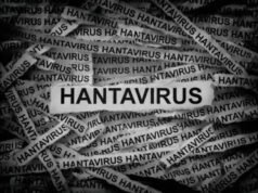 Argentina lançará missão de investigação sobre hantavírus em Ushuaia, ETHealthworld