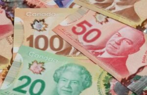 73% dos canadenses dizem que “muitos” permanecem em relacionamentos por dinheiro: Pesquisa – Nacional