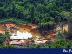 Desmatamento na Amazônia brasileira cai para nível mais baixo desde 2019