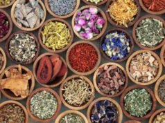 O governo de Delhi assina um memorando de entendimento para aprimorar as habilidades de Ayush, oportunidades de emprego, ETHealthworld