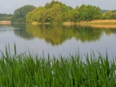 Corpo encontrado em busca de menino de 17 anos visto pela última vez no lago Cheshire