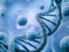 Pesquisadores do IITK descobrem proteína que permite que as células colorretais resistam à quimioterapia, ETHealthworld