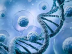 Pesquisadores do IITK descobrem proteína que permite que as células colorretais resistam à quimioterapia, ETHealthworld