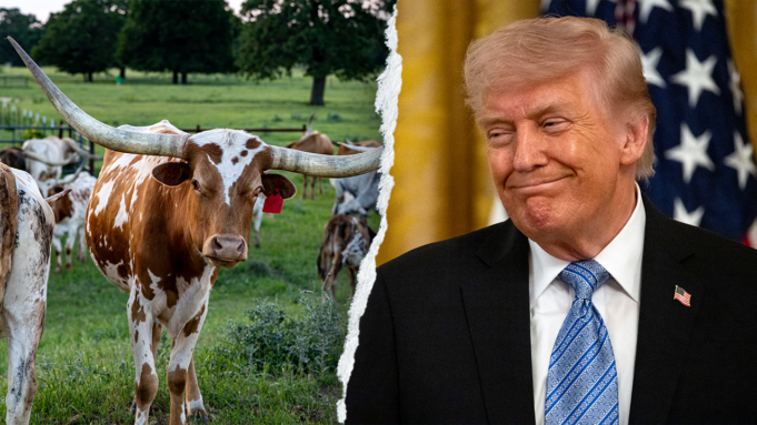 longhorn-trump.png